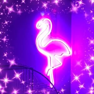 Meet your Posher, Tom